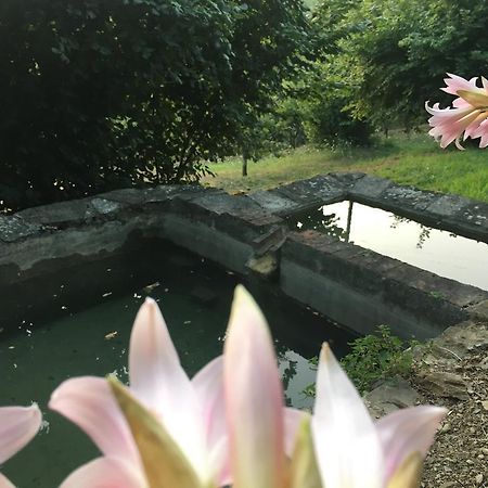 Relax Nella Natura Bolano Exteriér fotografie