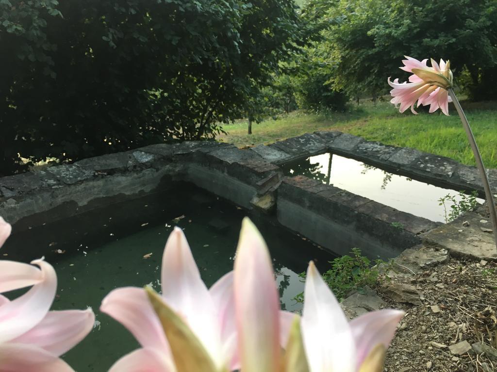 Relax Nella Natura Bolano Exteriér fotografie