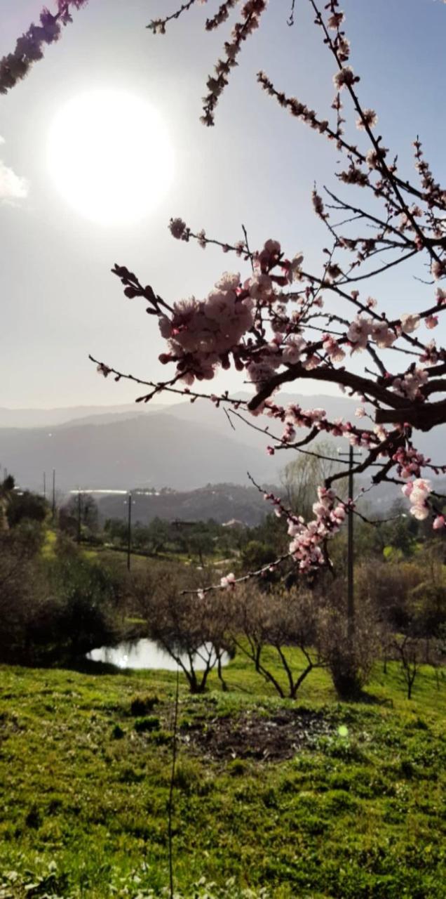 Relax Nella Natura Bolano Exteriér fotografie